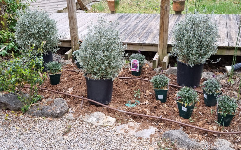 creation de jardin