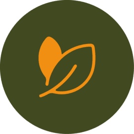 icone plante