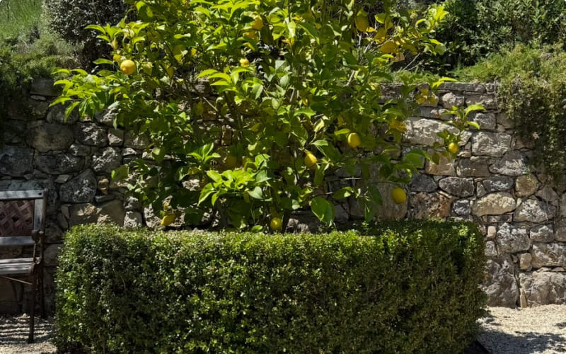 photo-entretien-jardin-6 photo-entretien-jardin-6