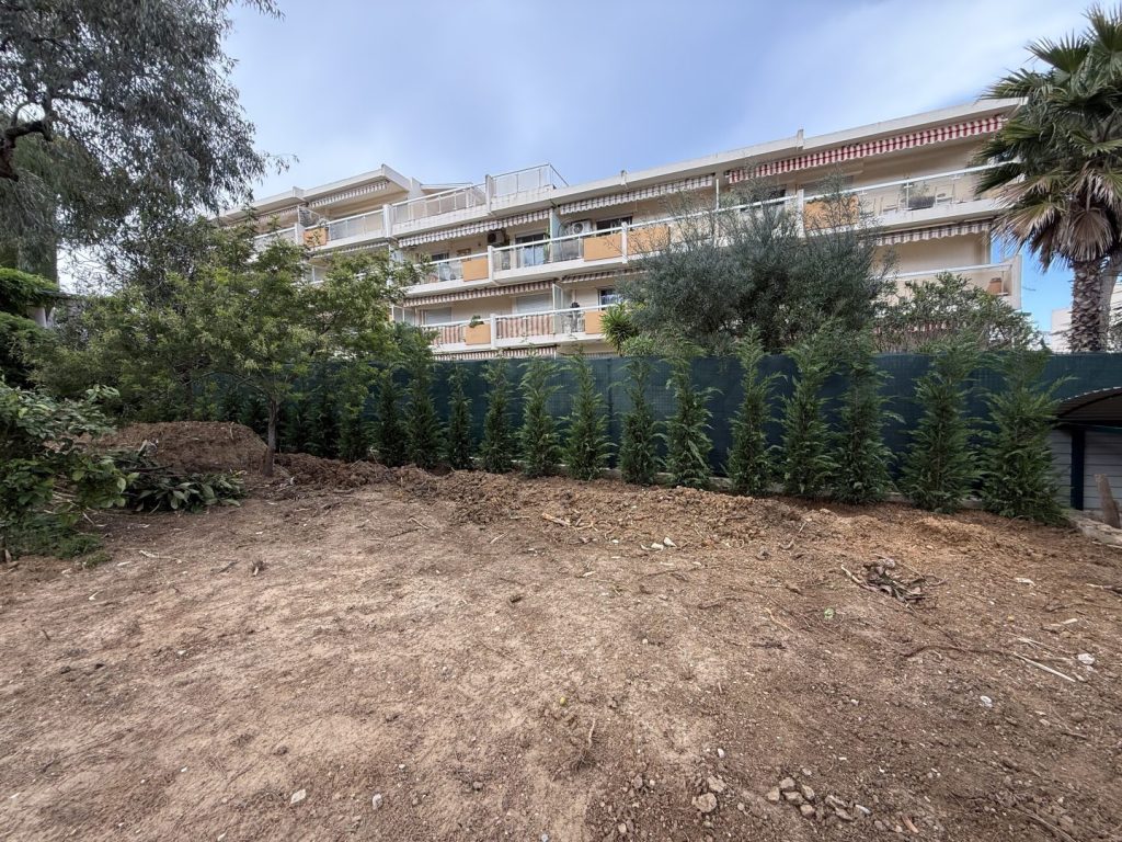 Plantatiion de vegetaux cyprès de Leyland