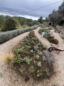 Création paysagère