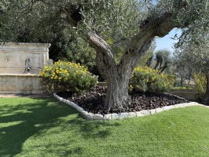 création paysagère