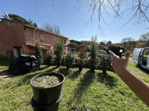 Plantation de végétaux