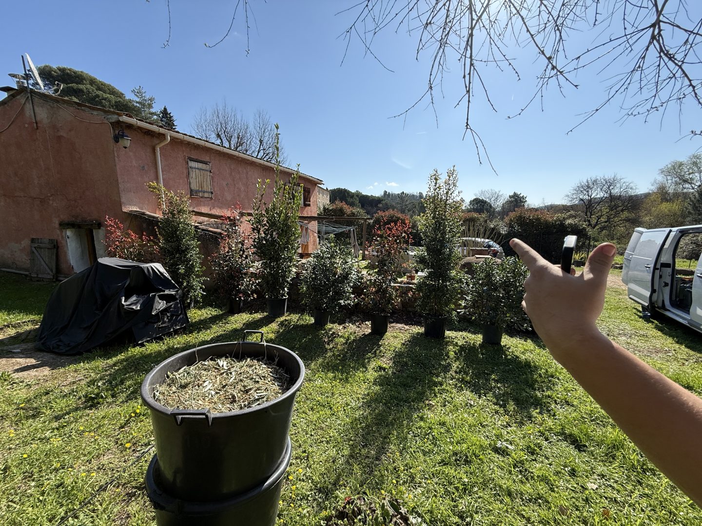 Plantation de végétaux