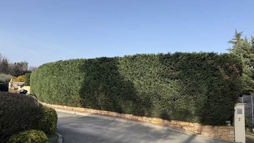 Entretien de jardin