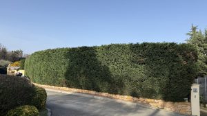 Entretien de jardin