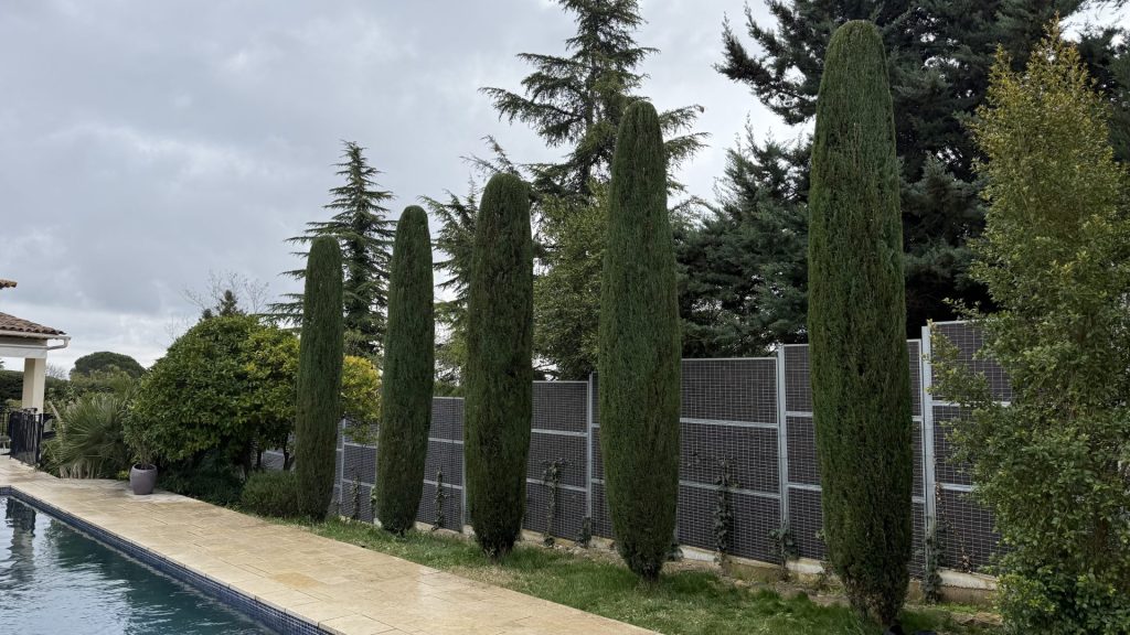 taille de haie a roquefort les pins
