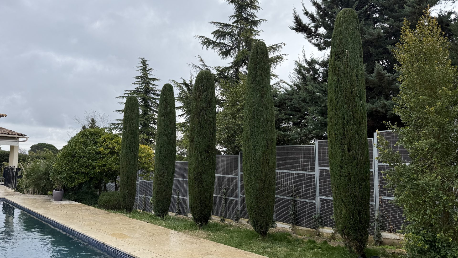 taille de haie a roquefort les pins