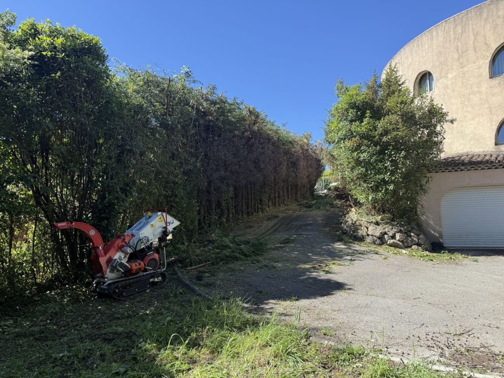 elagage d'une haie de cypres a cannes