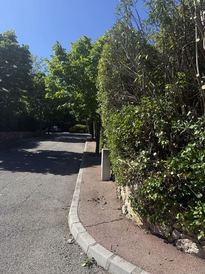 après la taille de haie à antibes