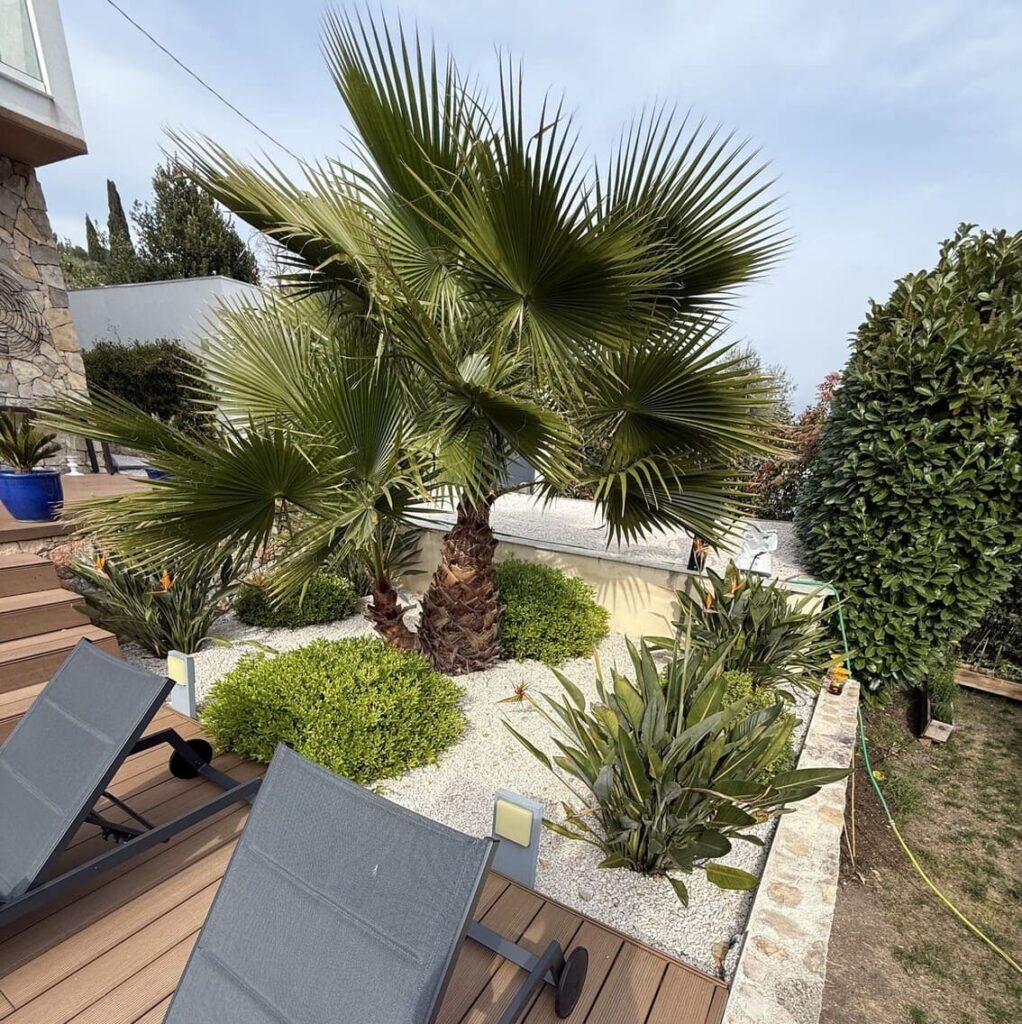 Création de jardin à Mougins