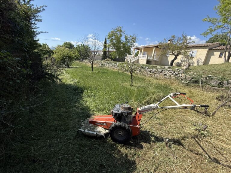 Débroussaillage à Roquefort-les-Pins