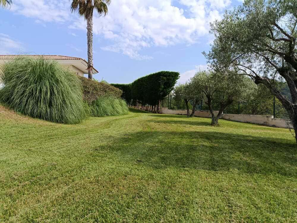 entretien de jardin a mandelieu